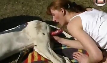 sesso a pecorina,sesso allo zoo con animali domestici