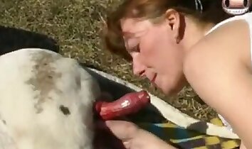 sexo cachorrinho,sexo no zoológico com animais de estimação