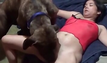 sexo apaixonado,sexo prazeroso