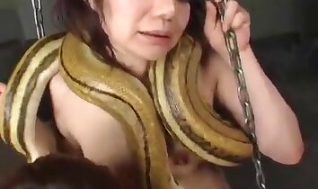 sexo animal hardcore,clipes de sexo no zoológico