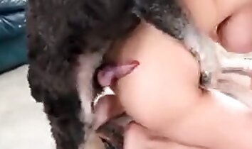 sesso di piacere,fottuta bollente