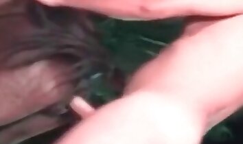 passionerat sex,zoo-sexvideo