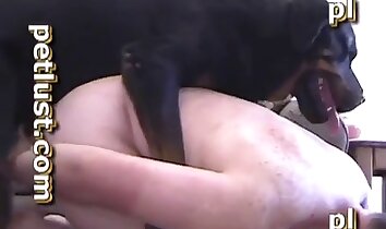 gay zoo porno,potěšení ze sexu