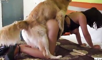 clipes de sexo no zoológico,sexo apaixonado