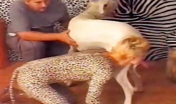 villi zoofilia seksi,eläintarhaseksiä video