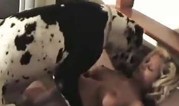 bionde sexy,video di sesso allo zoo