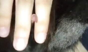 prazer supremo,sexo na fazenda