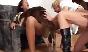 zoo-sex klipy,zoo sex video