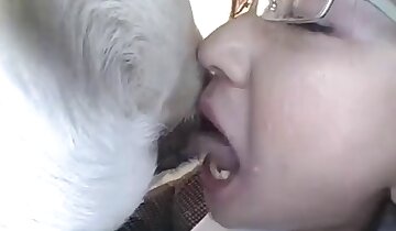 người đàn ông đang quan hệ với động vật,khiêu dâm dâm đãng