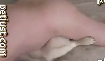 boquete e foda na boca,vídeo pornô de cachorro