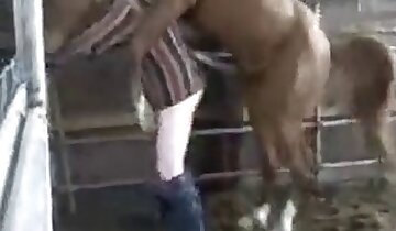 homem transando com animal,cavalo xxx pornô
