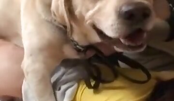 pompino e scopata in bocca,video di sesso con animali