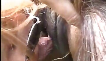 seksowne blond dziwki,najgorętsze zoo-porno
