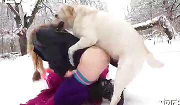 vídeo de sexo animal,vídeo pornô de zoológico