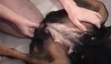 zoo-porno posnetki,spolni prizori od blizu