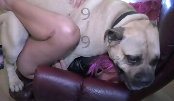 zwierzę rucha kobietę,podniecająca pornografia