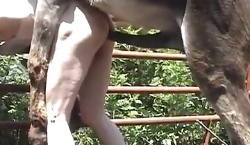 wilder Zoophilie-Sex,Tier-Sexvideo