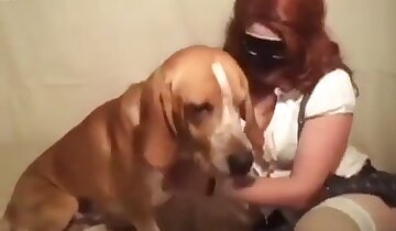 passionate sex,animal sex video