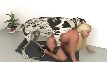 gái tóc vàng gợi cảm,động vật quan hệ với phụ nữ