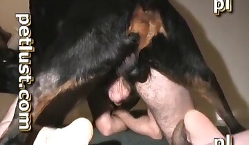 homofil zoo-porno,mann knuller med dyr