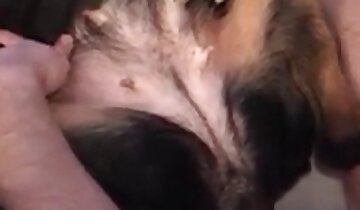 gejevska živalska pornografija,spolni prizori od blizu