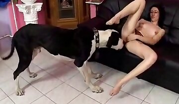 brunette girls,hot animal sex scenes
