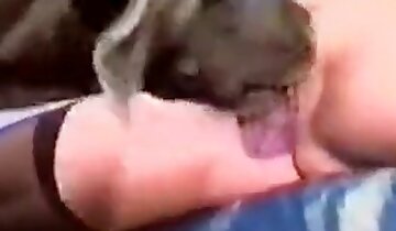 zoo-porno klip,den hotteste zoo-porno