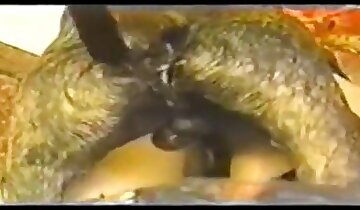 少女と動物のセックス,高画質の獣姦ビデオ
