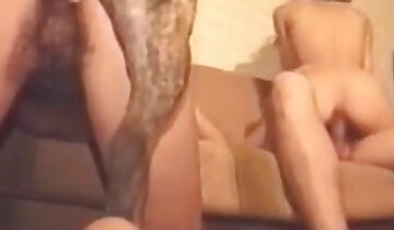 zoophilie sauvage sexe,sexe animal hardcore