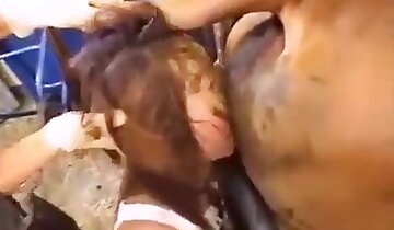 ekstremna zverinost,živalski porno video