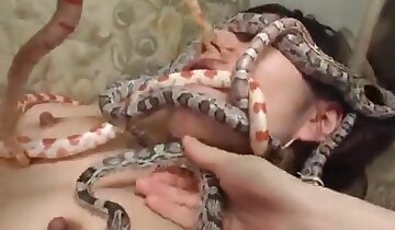 Aziatische dierentuinporno,dier neukt vrouw