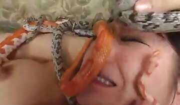 azijska živalska pornografija,žival seksa z žensko