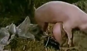 hayvan seks videosu,hayvanla seks