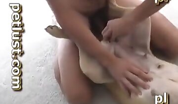 girl and animal sex,man fucking with animal