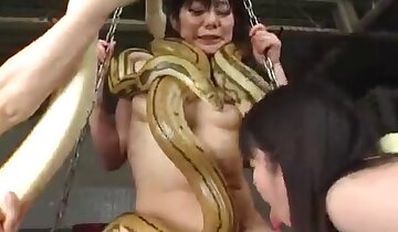 sexo duro con animales,escenas de sexo con animales calientes