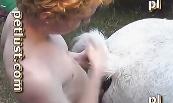 penetração pornô,pornografia de cavalo grátis