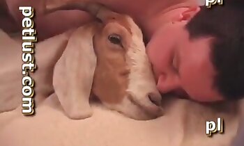 獣姦セックスポルノ,人間と動物のポルノ