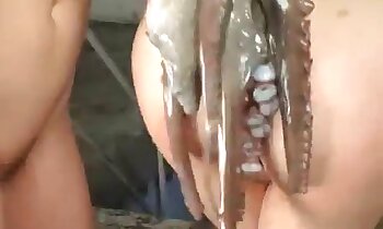 gratis dyrepornovideoer,gratis zoosex-videoer