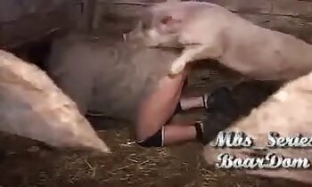 horké zoofilní scény,zvířecí porno zdarma