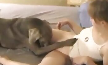 pleasure sex,zoo porn with oral