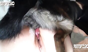 pleasure sex,dog porn video