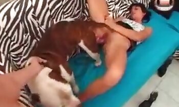 zoofili porno,gratis zoosex videoer