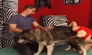 zoophilia porno gratis,gratis zoosex-videoer