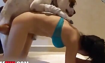 gratis djurporr,gratis zoosex-videor