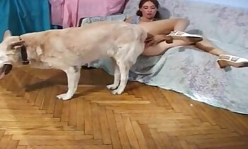 bestialitet sexporno