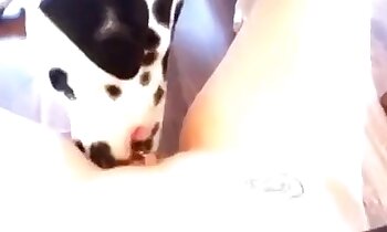 dog porn video,hot bestiality videos