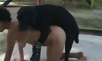 hayvanat bahçesi porno videosu,köpek porno videosu
