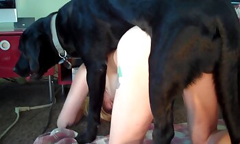 bestiality sex porn,free zoosex videos