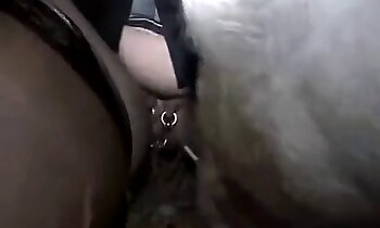 zoo-porno-video,kostenloses zoophilie porno video