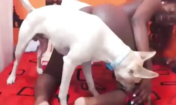 gratis zoosex video's,pik rijden